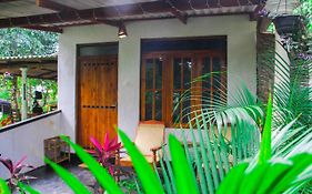 Manju Homestay